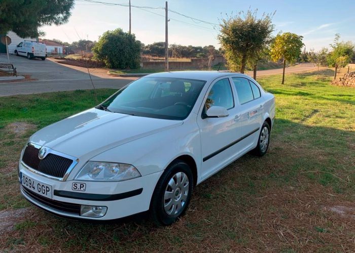 taxi-5-plazas-autocares-cristobal-2